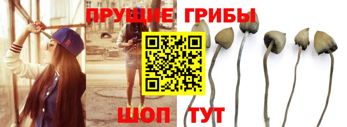 Псилоцибиновые грибы мухоморы Коммунар